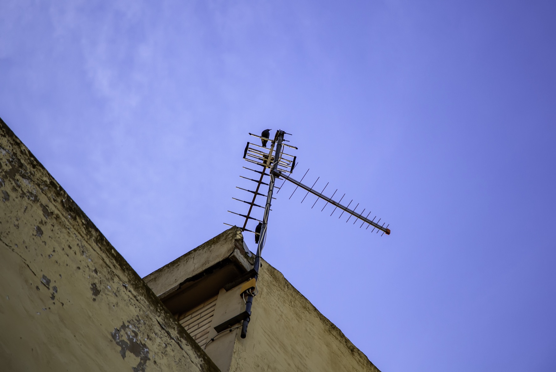 Rooftop television antennas against a city skyline