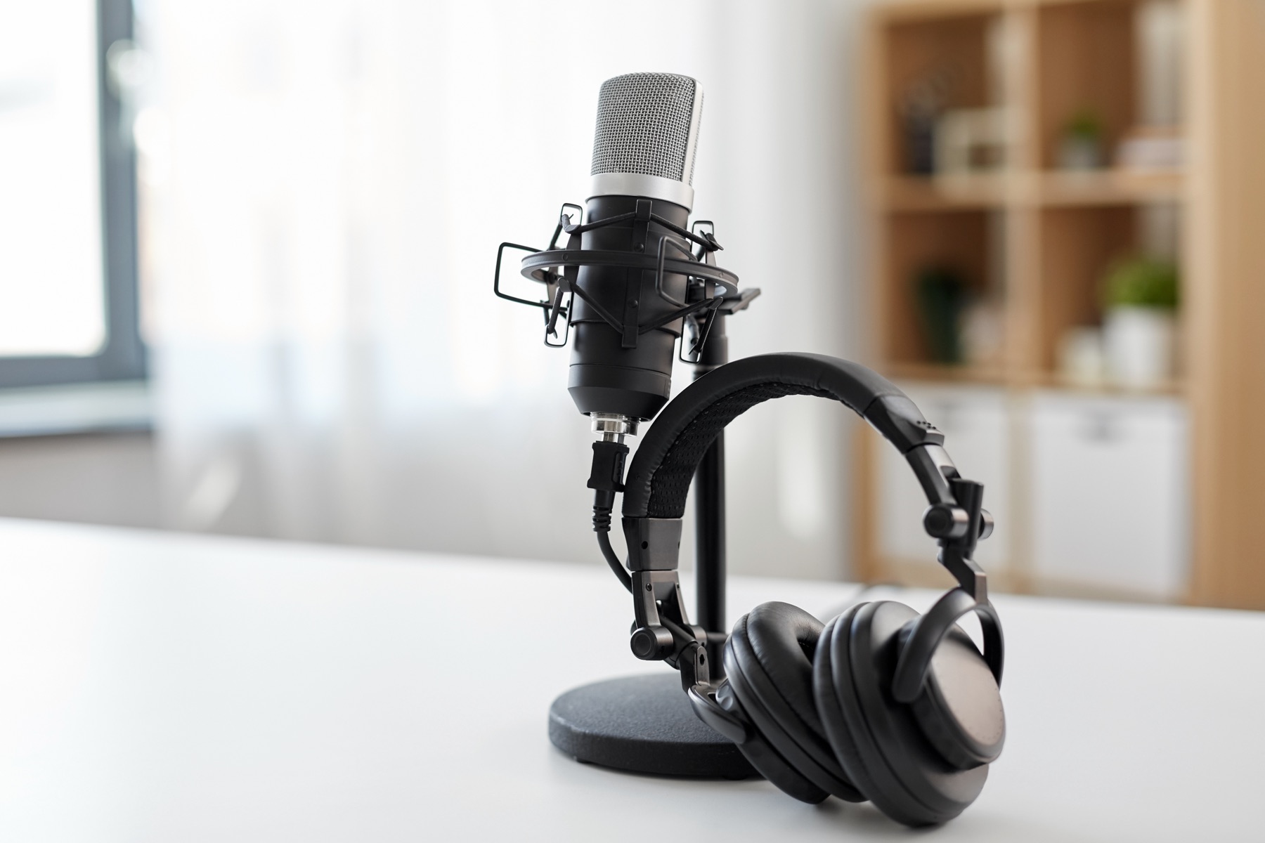 A professional studio microphone