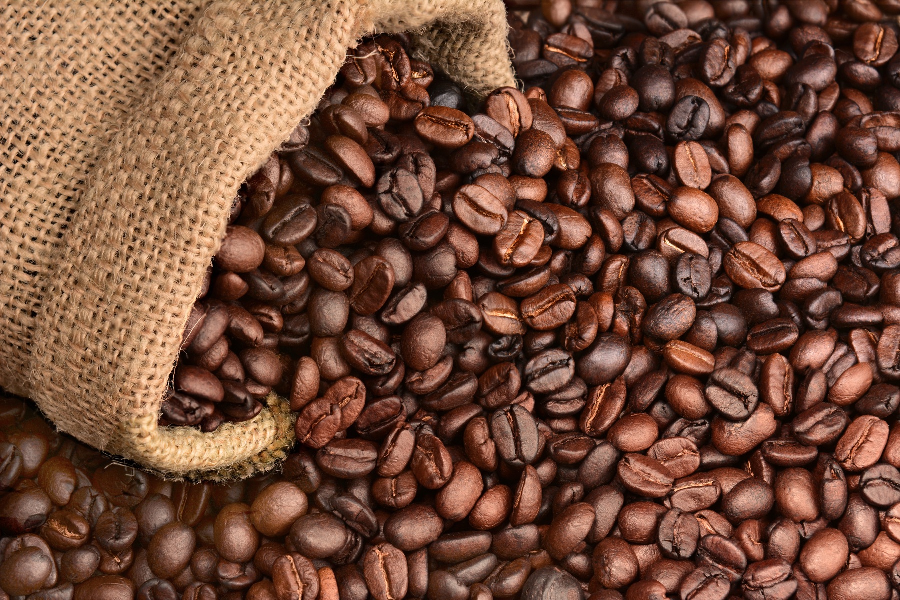 Dark roasted coffee beans spilling from a bag